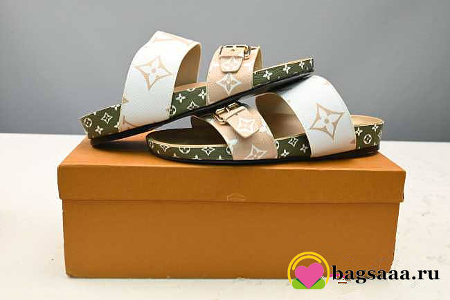 Louis Vuitton Sslipper Euro 36 (no discount) - 1