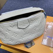 Louis Vuitton Bum Bag - 1