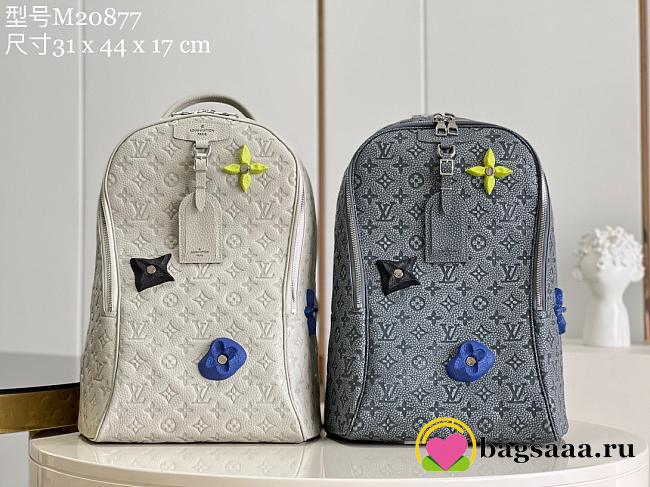Louis Vuitton Backpack M20877 - 1