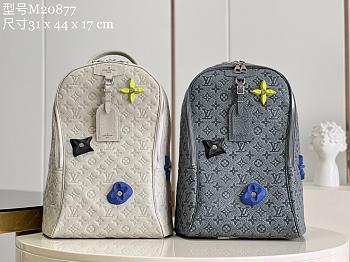 Louis Vuitton Backpack M20877