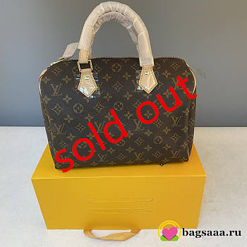 Louis Vuitton Speedy 30CM M41112