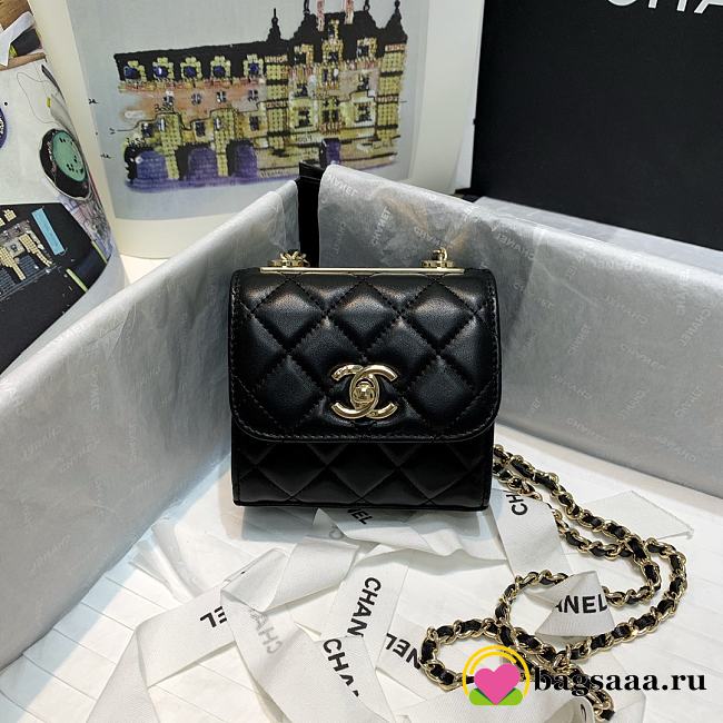 Chanel Chain Flap Coin Bag - 1