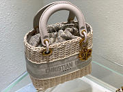 Dior Lady Oblique Bag 24cm 03 - 4