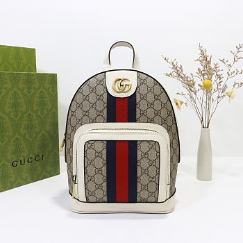 Gucci Backpack Bag