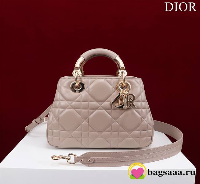 Bagsaaa Dior Lady 95.22 Nude Bag Gold Hardware - 30×19×12cm - 1