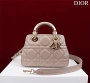 Bagsaaa Dior Lady 95.22 Nude Bag Gold Hardware - 30×19×12cm - 1