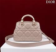 Bagsaaa Dior Lady 95.22 Nude Bag Gold Hardware - 30×19×12cm - 5