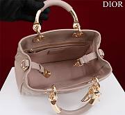 Bagsaaa Dior Lady 95.22 Nude Bag Gold Hardware - 30×19×12cm - 3