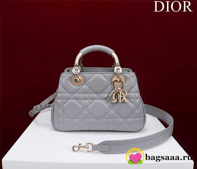 	 Bagsaaa Dior Lady 95.22 Grey Bag Gold Hardware - 30×19×12cm - 1