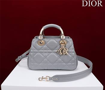	 Bagsaaa Dior Lady 95.22 Grey Bag Gold Hardware - 30×19×12cm
