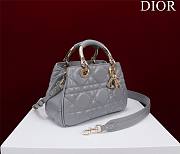 	 Bagsaaa Dior Lady 95.22 Grey Bag Gold Hardware - 30×19×12cm - 4