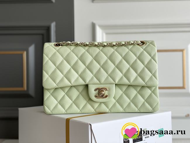 Bagsaaa Chanel Classic Flap Small Bag in Light Green - 25cm - 1