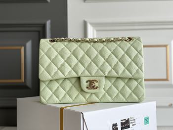 Bagsaaa Chanel Classic Flap Small Bag in Light Green - 23cm