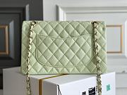 Bagsaaa Chanel Classic Flap Small Bag in Light Green - 23cm - 4