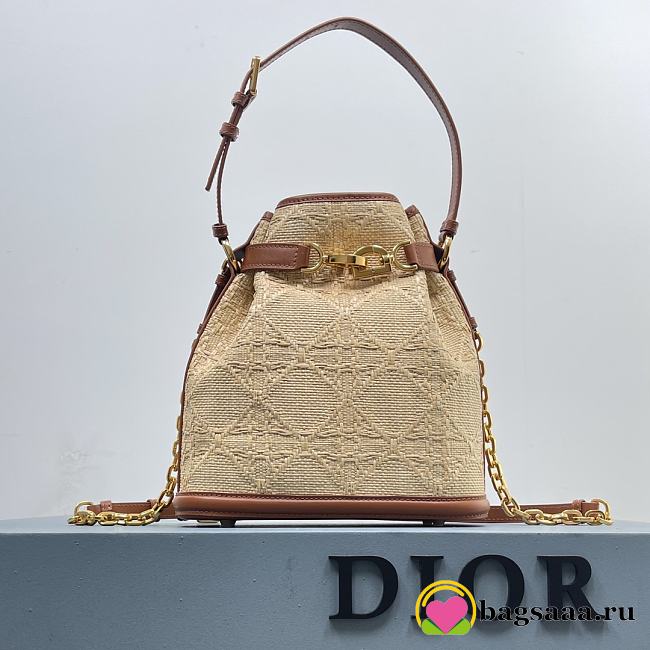 	 Bagsaaa Dior C'est Medium Cannage Raffia - 24 x 10 x 24.5 cm - 1