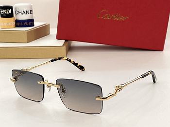 Bagsaaa Cartier Sunglasses (6 colors)