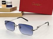 Bagsaaa Cartier Sunglasses (6 colors) - 5