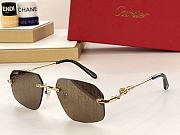 Bagsaaa Cartier Sunglasses CT0281O - 4
