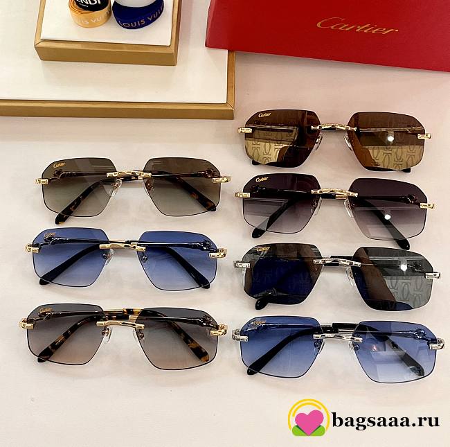 Bagsaaa Cartier Sunglasses CT0281O - 1