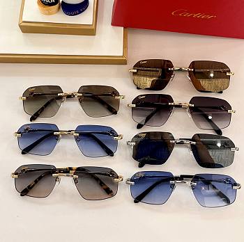 Bagsaaa Cartier Sunglasses CT0281O
