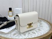 Bagsaaa Celine Box White Leather - 18.5x14x6cm - 2