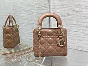 Dior Lady Bag 17cm - 1