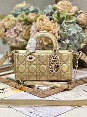 Bagsaaa Dior Lady D-Joy Gold Iridescent Metallic Cannage Lambskin - 22 x 12 x 6 cm - 1