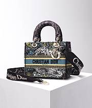 Bagsaaa Dior Lady Medium Pietro Ruffo - 24x20x11cm - 5