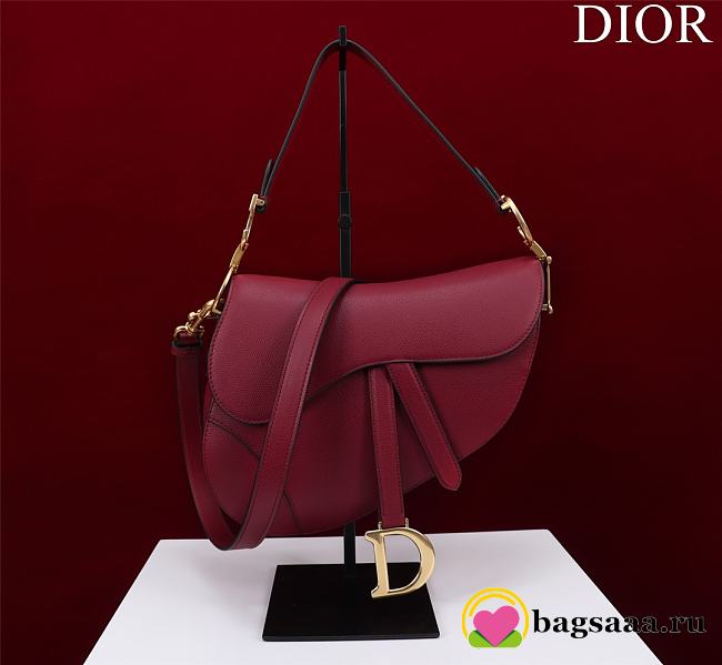 	 Bagsaaa Dior Saddle Burrgundy Leather and coloful harrdware - 25.5 x 20 x 6.5 cm - 1