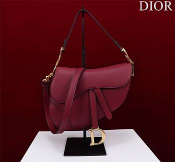 	 Bagsaaa Dior Saddle Burrgundy Leather and coloful harrdware - 25.5 x 20 x 6.5 cm
