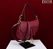 	 Bagsaaa Dior Saddle Burrgundy Leather and coloful harrdware - 25.5 x 20 x 6.5 cm - 3