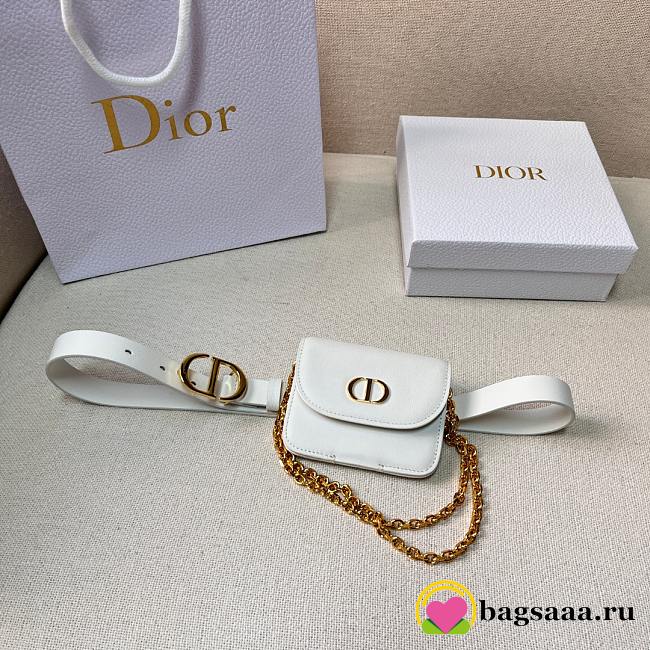 Bagsaaa Dior Removable Pouch White Belt Bag  - 1