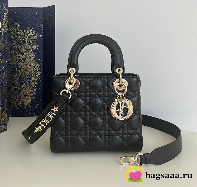 Lady Dior bag 20cm 002 - 1