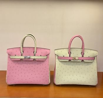 Bagsaaa Hermes Birkin 25 Ostrich Leather Pink and White