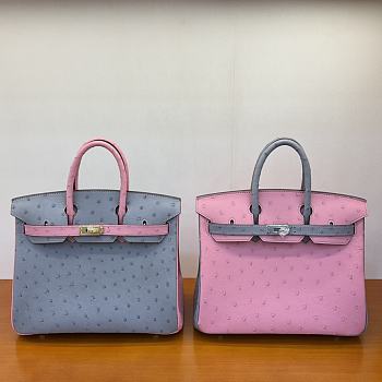 	 Bagsaaa Hermes Birkin 25 Ostrich Leather Grey and Pink