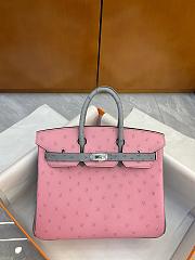 	 Bagsaaa Hermes Birkin 25 Ostrich Leather Grey and Pink - 3