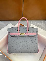 	 Bagsaaa Hermes Birkin 25 Ostrich Leather Grey and Pink - 2