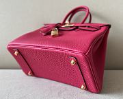 Bagsaaa Hermes Birkin 25 in Togo Leather with Gold Hardware Pink - 2