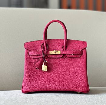 Bagsaaa Hermes Birkin 25 in Togo Leather with Gold Hardware Pink