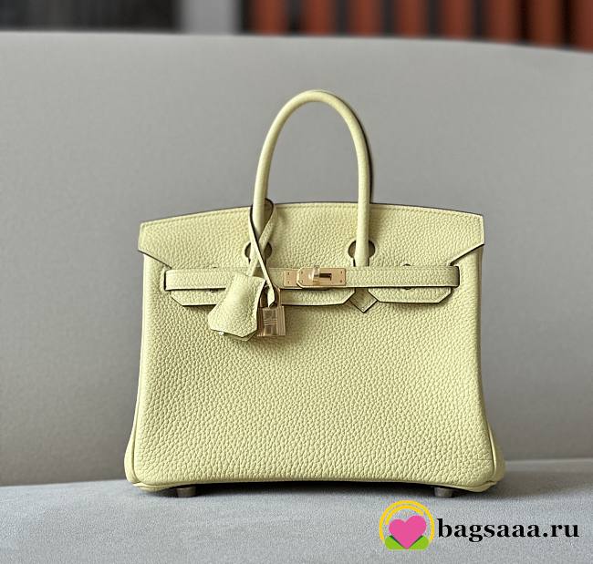 Bagsaaa Hermes Birkin 25 in Togo Leather with Gold Hardware Lemon Yellow - 1