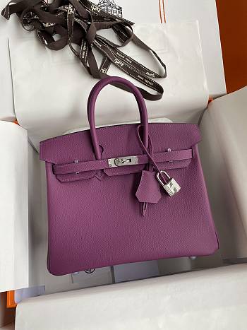 	 Bagsaaa Hermes Birkin 25 Epsom Leather Purple