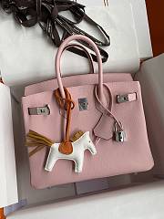 	 Bagsaaa Hermes Birkin 25 Epsom Leather Pink - 3