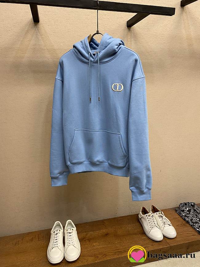 Bagsaaa Dior CD Hoodie Blue - 1