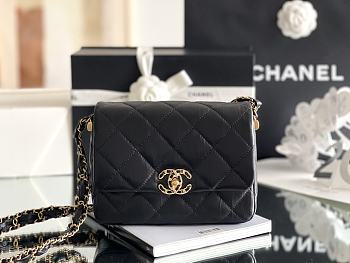 Bagsaaa Chanel 19 Mini Black Bag - 21*15*5cm