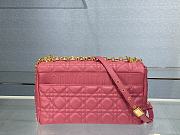 	 Bagsaaa Dior Meidum Caro Pink Supple Cannage Calfskin - 28x17x9cm - 6