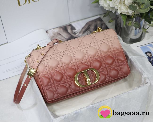 	 Bagsaaa Dior Large Caro Pink - 28x17x9cm - 1