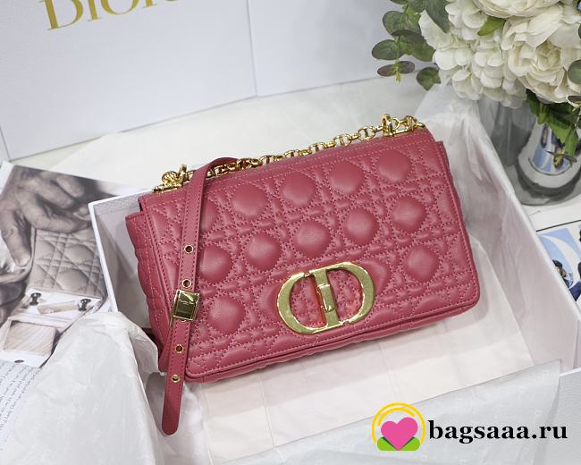 	 Bagsaaa Dior Medium Caro Pink - 25.5 x 15.5 x 8 cm - 1