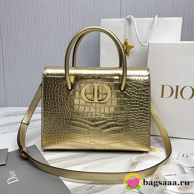 Bagsaaa Dior St Honore Gold Crocodile 30x22.5x16 - 1