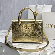 Bagsaaa Dior St Honore Gold Crocodile 30x22.5x16 - 1