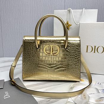 Bagsaaa Dior St Honore Gold Crocodile 30x22.5x16
